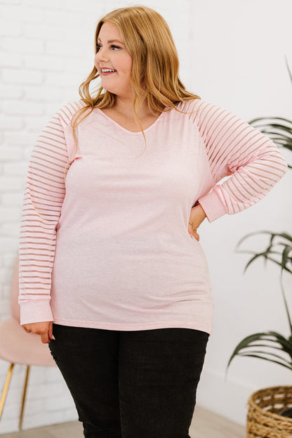 Plus Size Sheer Striped Sleeve V-Neck Top.