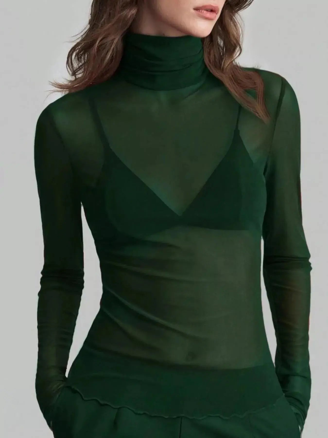 Sheer Mesh Turtleneck Top Simply Love