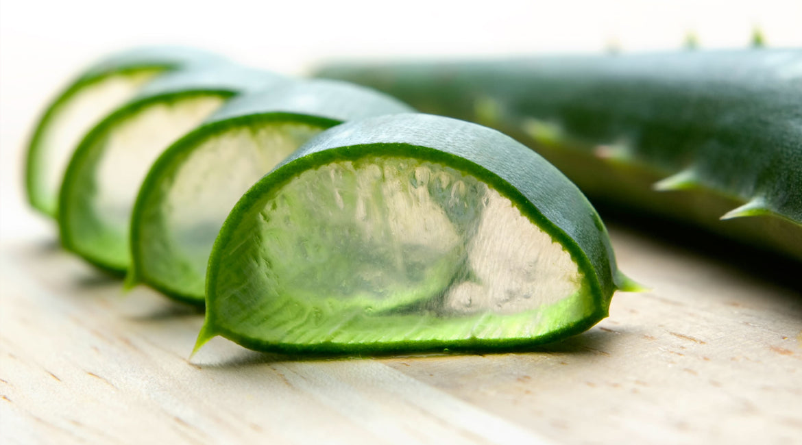 Artisan Handmade Scented Aloe Vera Soap for Moisturizing and Skin Repair - Love Salve 