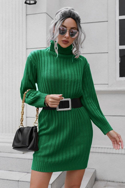 Chic ribbed turtleneck sweater dress 