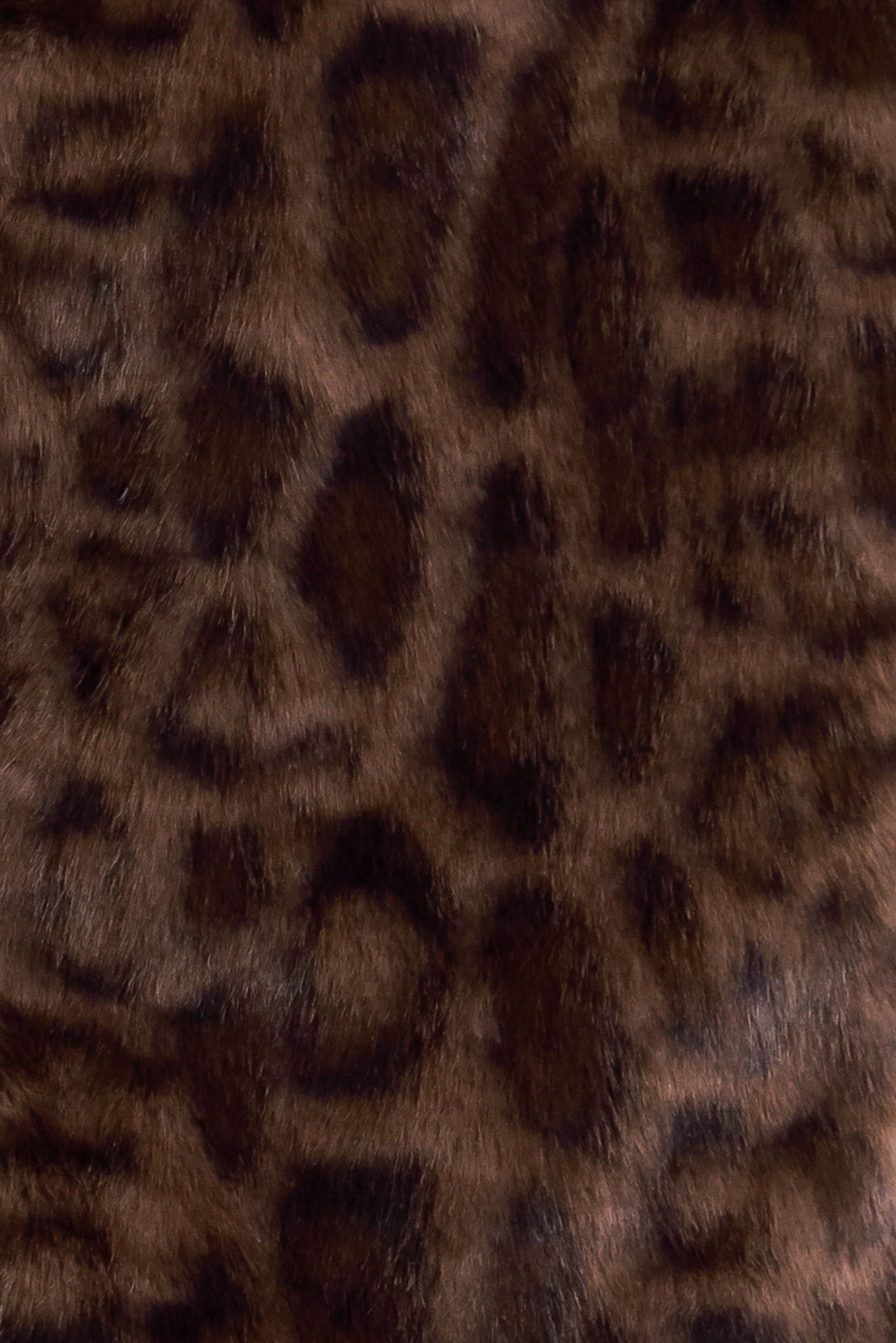 WILD FAME FAUX LEATHER JACKET Flying Tomato