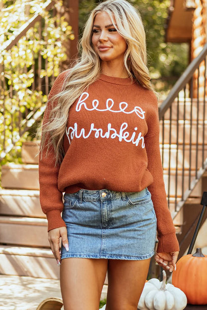 Flamingo hello pumpkin sweater 