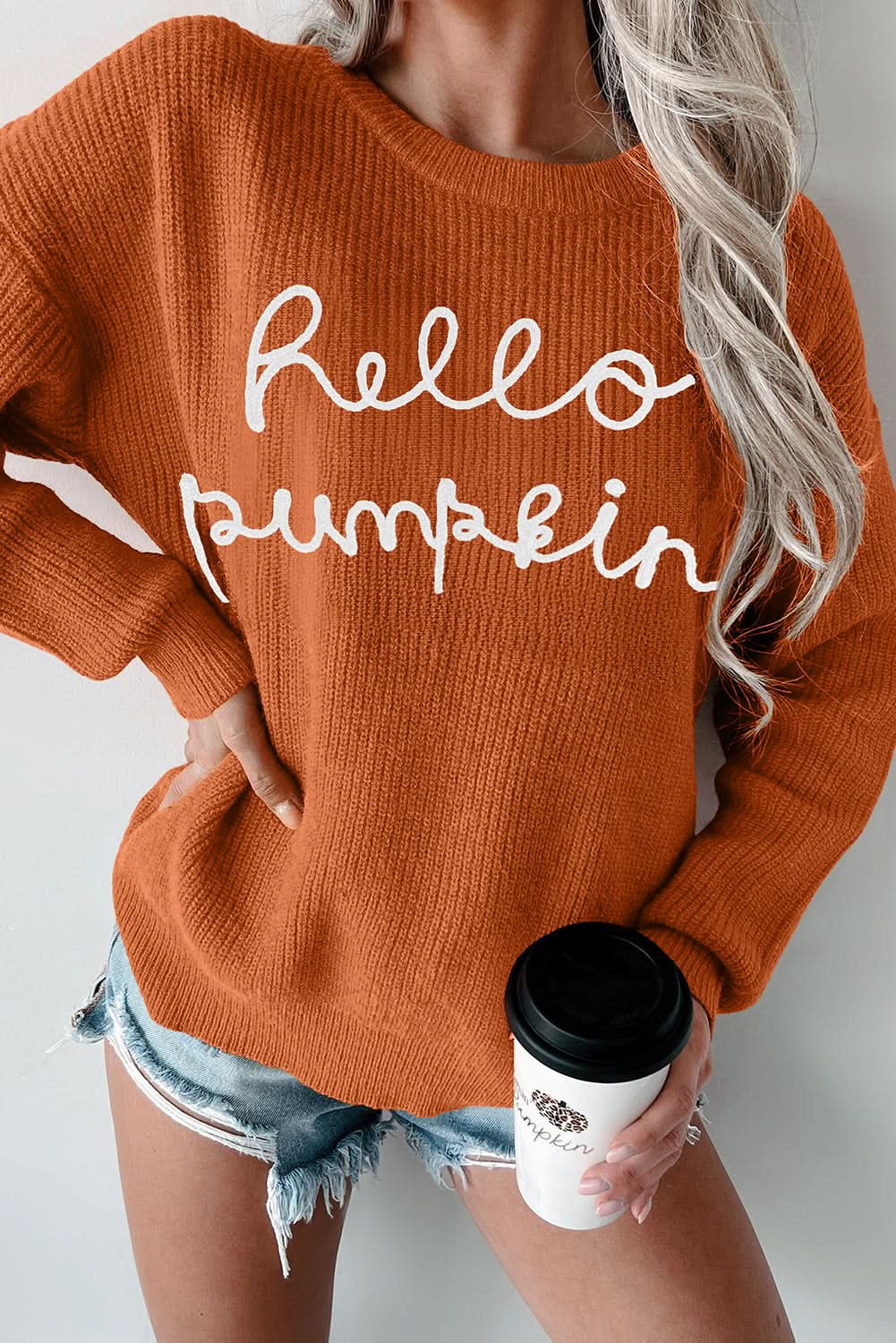 Flamingo hello pumpkin sweater - Love Salve 