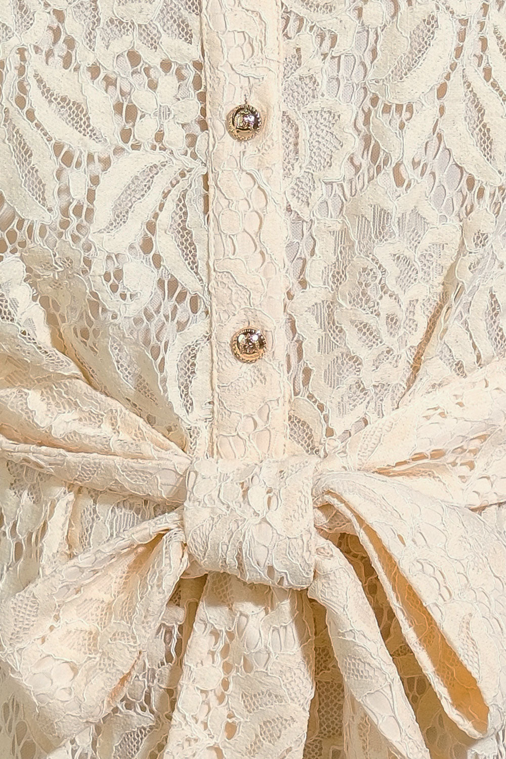 ADORE YOU LACE MINI DRESS Flying Tomato