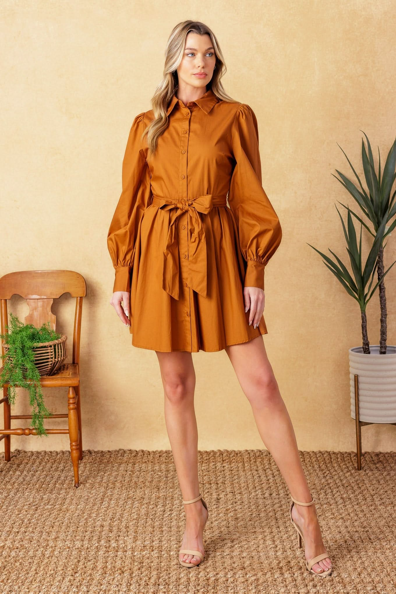 Eaton's Neck Cotton Shirt Mini Dress