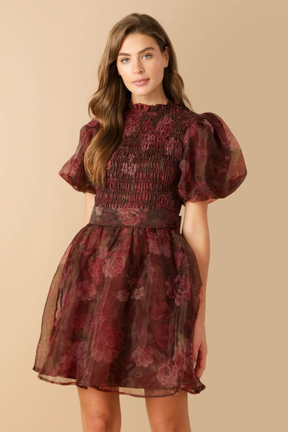 WHIMSICAL WOVEN ORGANZA RUFFLE MINI DRESS