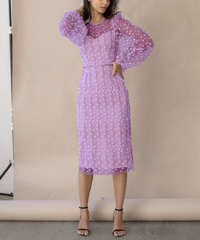 Lady Temperamental Embroidered Mesh Sleeve Dress Bella Mia