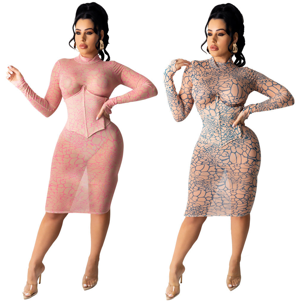 Sexy Nightclub Super Elastic Mesh Dress Bella Mia