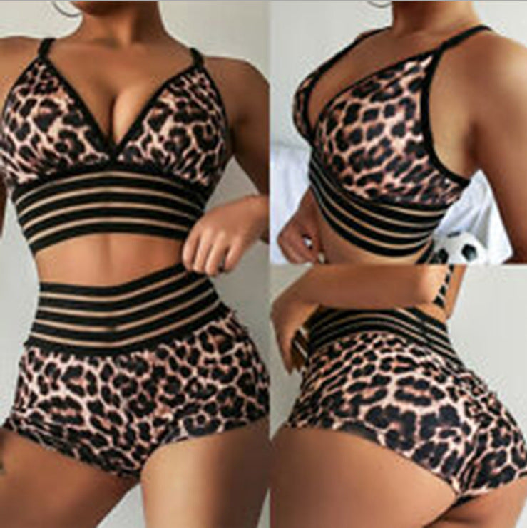 Leopard Print Printed Sexy Bikini High Waist Women Seperated Swimwear Bella Mia