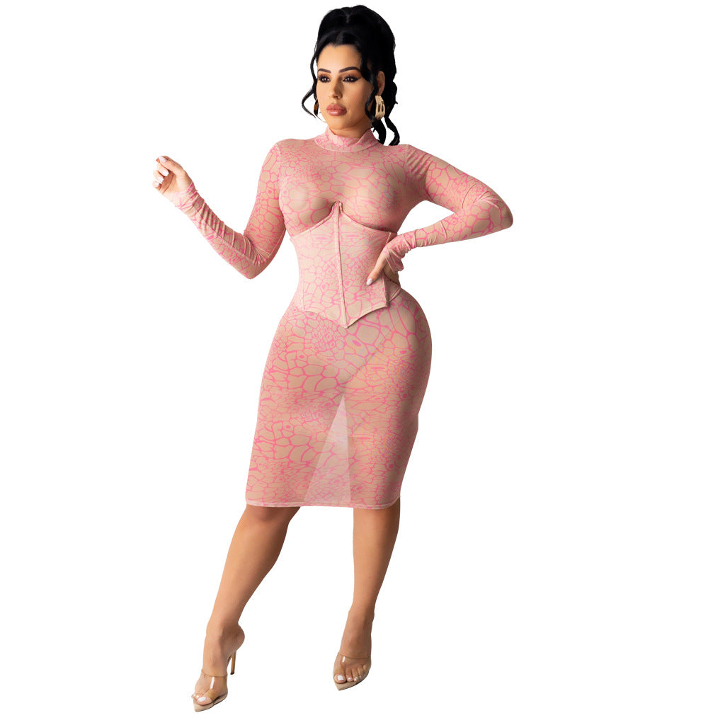 Sexy Nightclub Super Elastic Mesh Dress Bella Mia