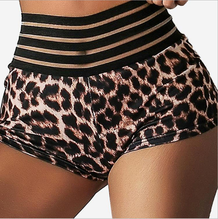 Leopard Print Printed Sexy Bikini High Waist Women Seperated Swimwear Bella Mia