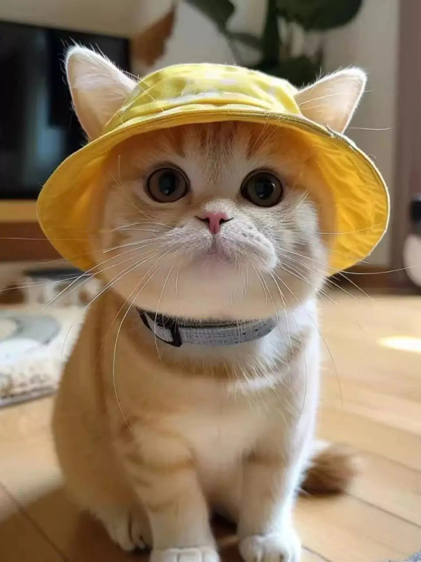 Pet Bucket Hat Simply Love