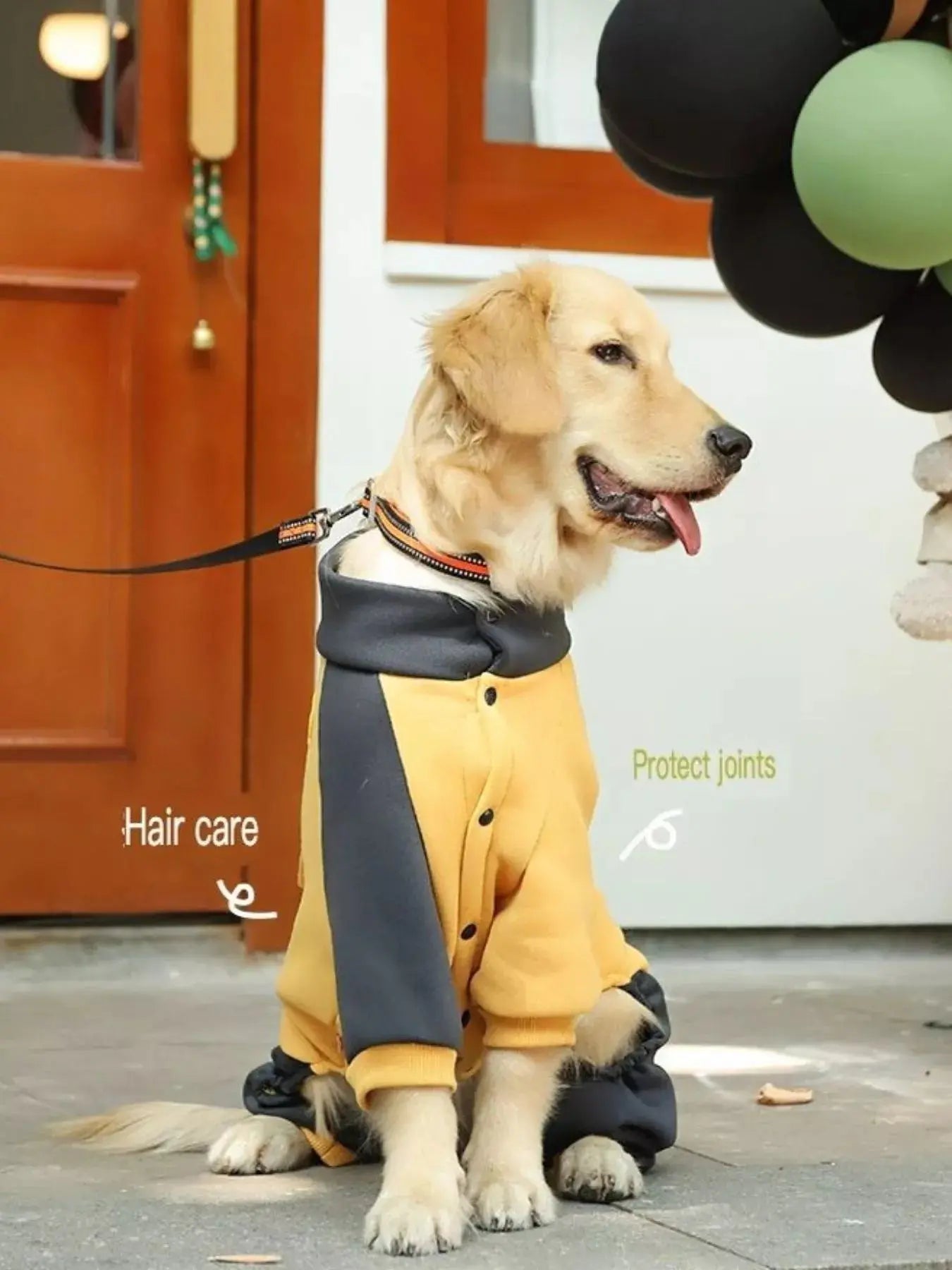 Two-Tone Dog Jacket Simply Love