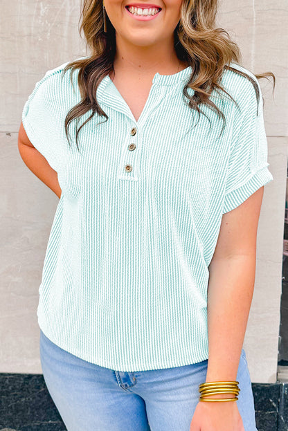 Iceland Blue Plus Size Henley T-shirt with Textured Style