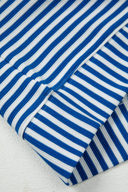 Premium Blue Stripe Quarter Zip Collar Pullover Long Sleeve Top