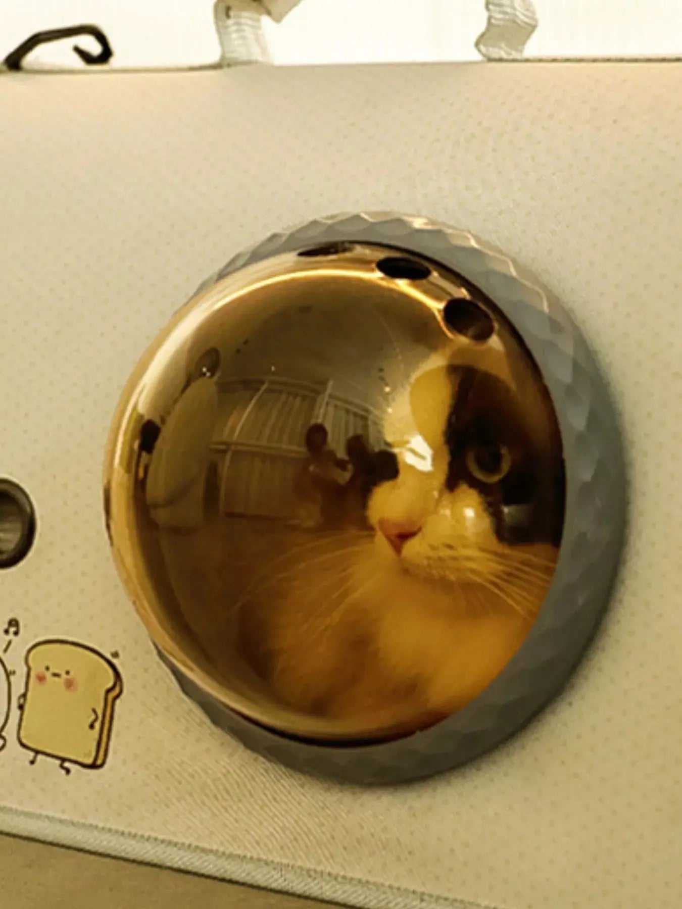 Portable Bubble Window Pet Carrier Bag Simply Love