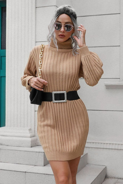 Ribbed Turtle Neck Long Sleeve Mini Sweater Dress.