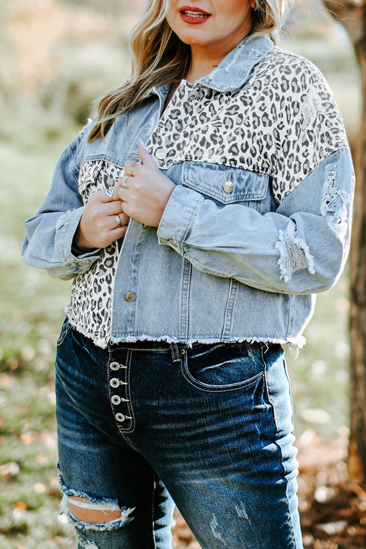 Fierce and trendy plus size leopard cropped denim jacket