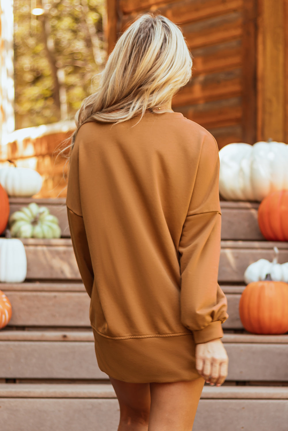 Chic chestnut Halloween top with sequin graphic and long sleeves