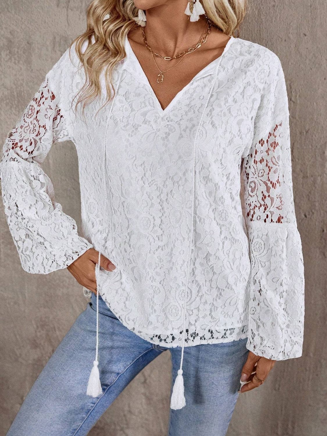 Lace Tie Neck Long Sleeve Blouse.