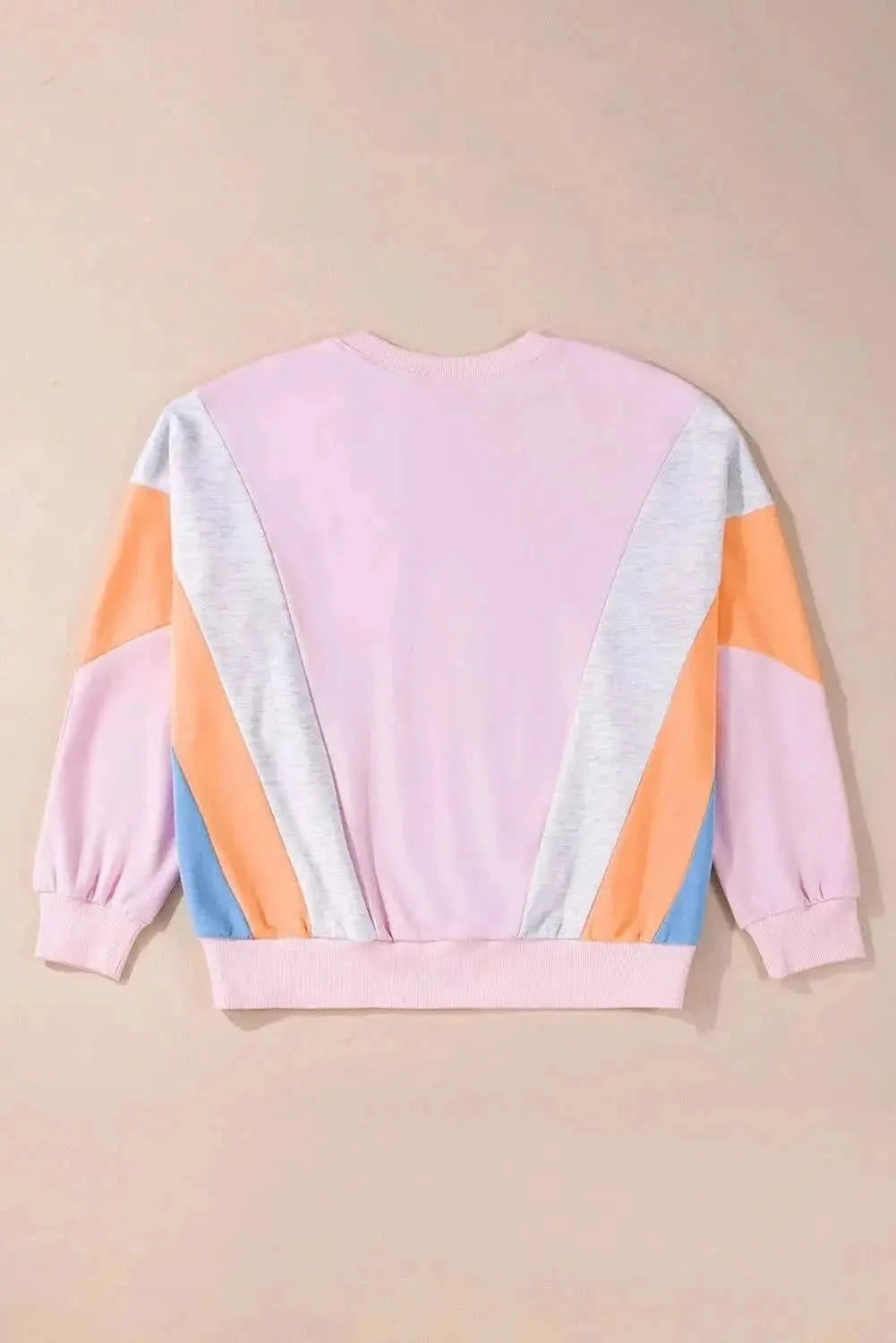 Color Block Round Neck Long Sleeve Sweatshirt - Love Salve 