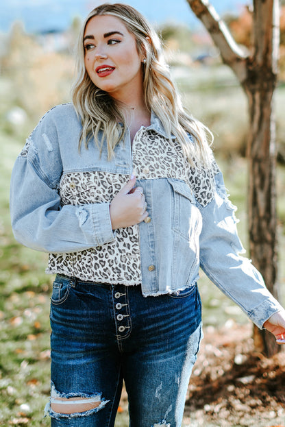 Fierce and trendy plus size leopard cropped denim jacket