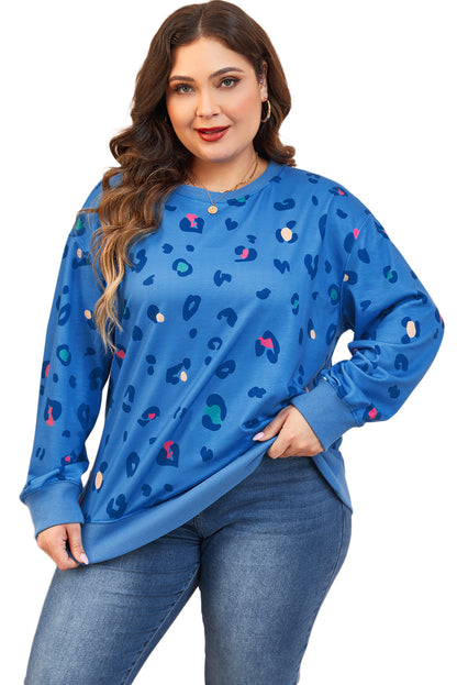 Sky blue leopard print drop shoulder pullover for effortless style