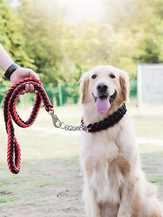 2 Piece Braided Rope Pet Leash with Metal Clasp Simply Love