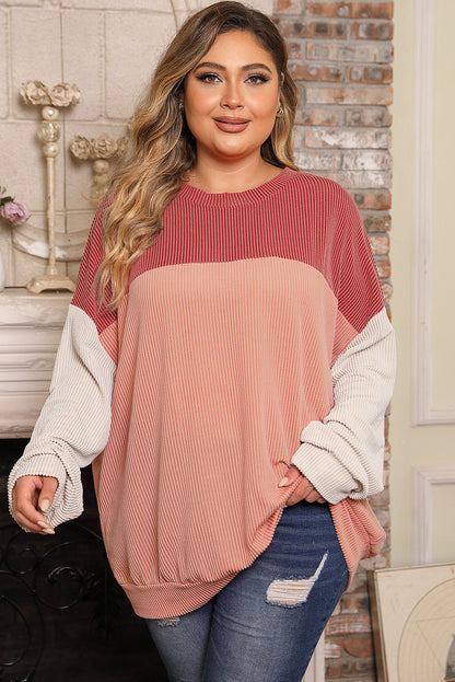 Chic colorblock ribbed long sleeve top in plus sizes