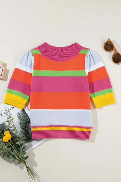 Color Block Round Neck Half Sleeve Knit Top.