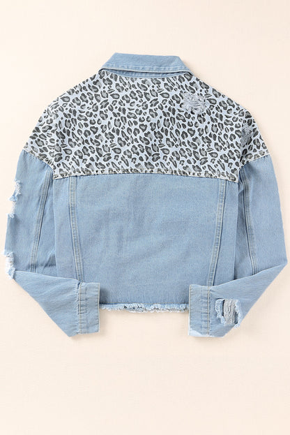 Fierce and trendy plus size leopard cropped denim jacket