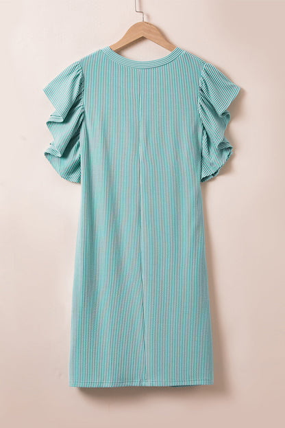 Jocelyn Ruffled Flutter Sleeve Dress for Women - Love Salve 