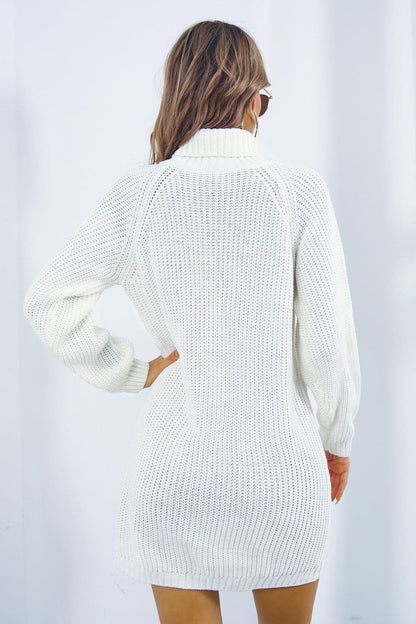 Buttoned Turtleneck Long Sleeve Sweater Dress.