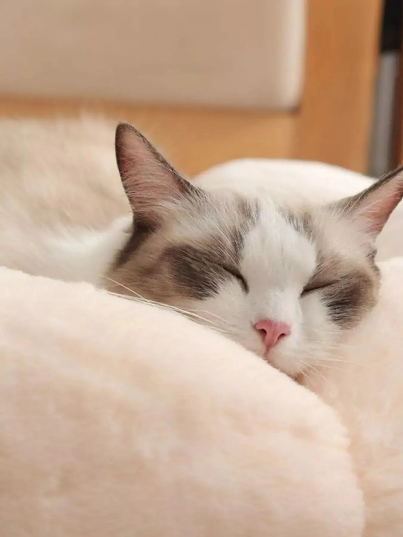 Round Plush Pet Nest with Cloud Pillow Simply Love