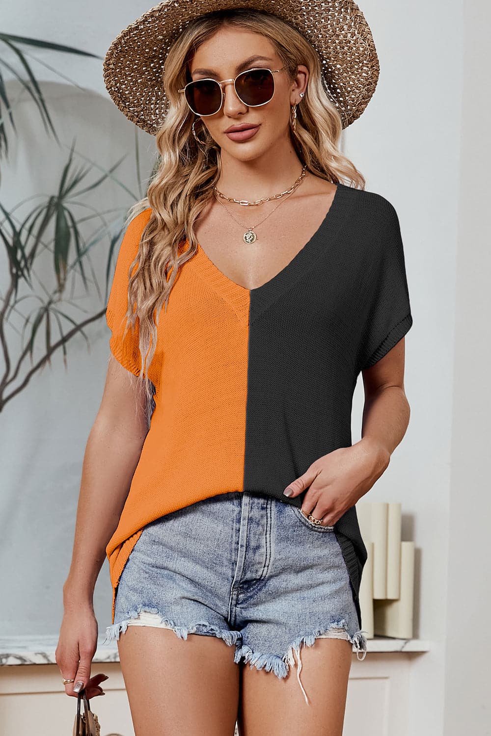 Color Block V-Neck Short Sleeve Knit Top.