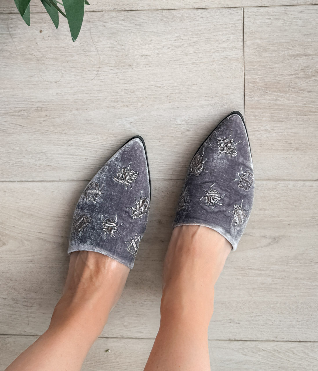 Dragonfly Velvet Flats For Women In Grey Comfortable Naughty Monkey