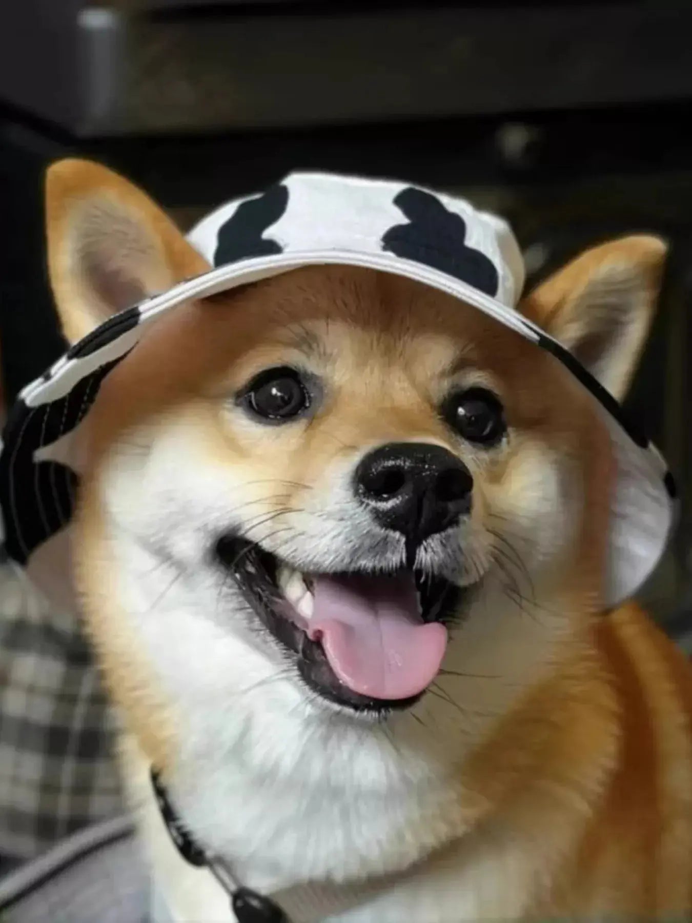 Pet Bucket Hat Simply Love