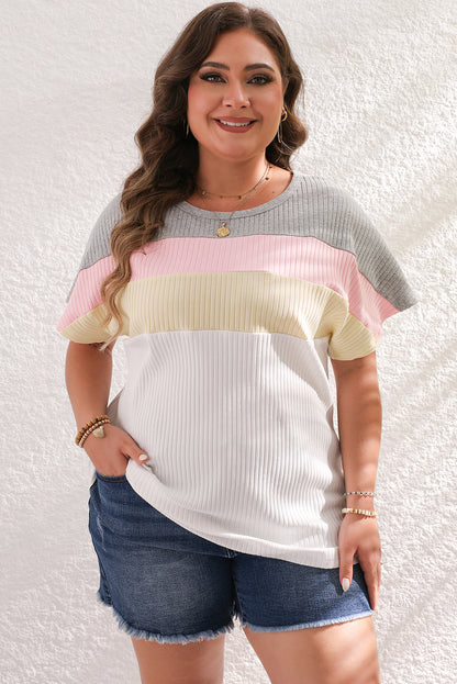 Chic white colorblock batwing sleeve ribbed plus size tee