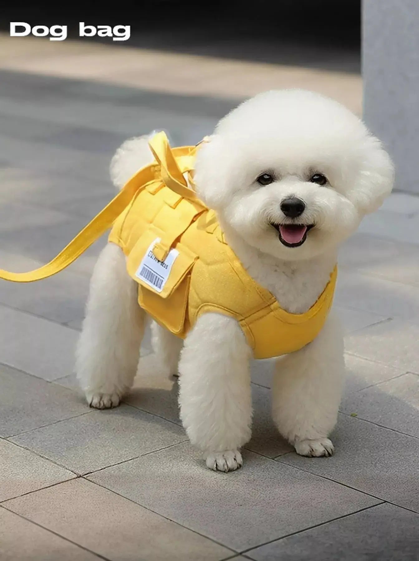 Portable Pet Carrier Harness Simply Love