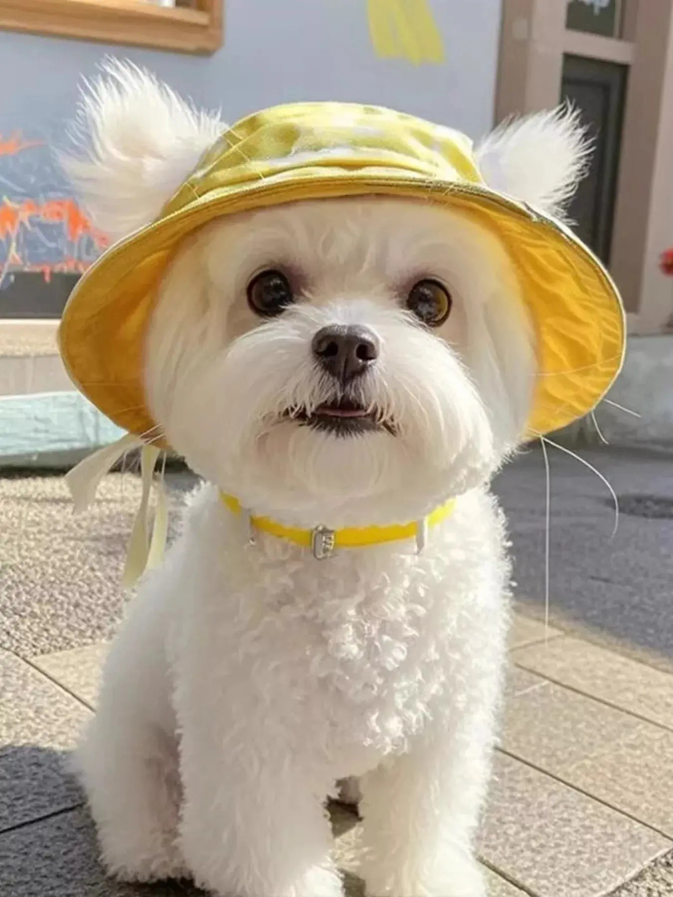 Pet Bucket Hat Simply Love