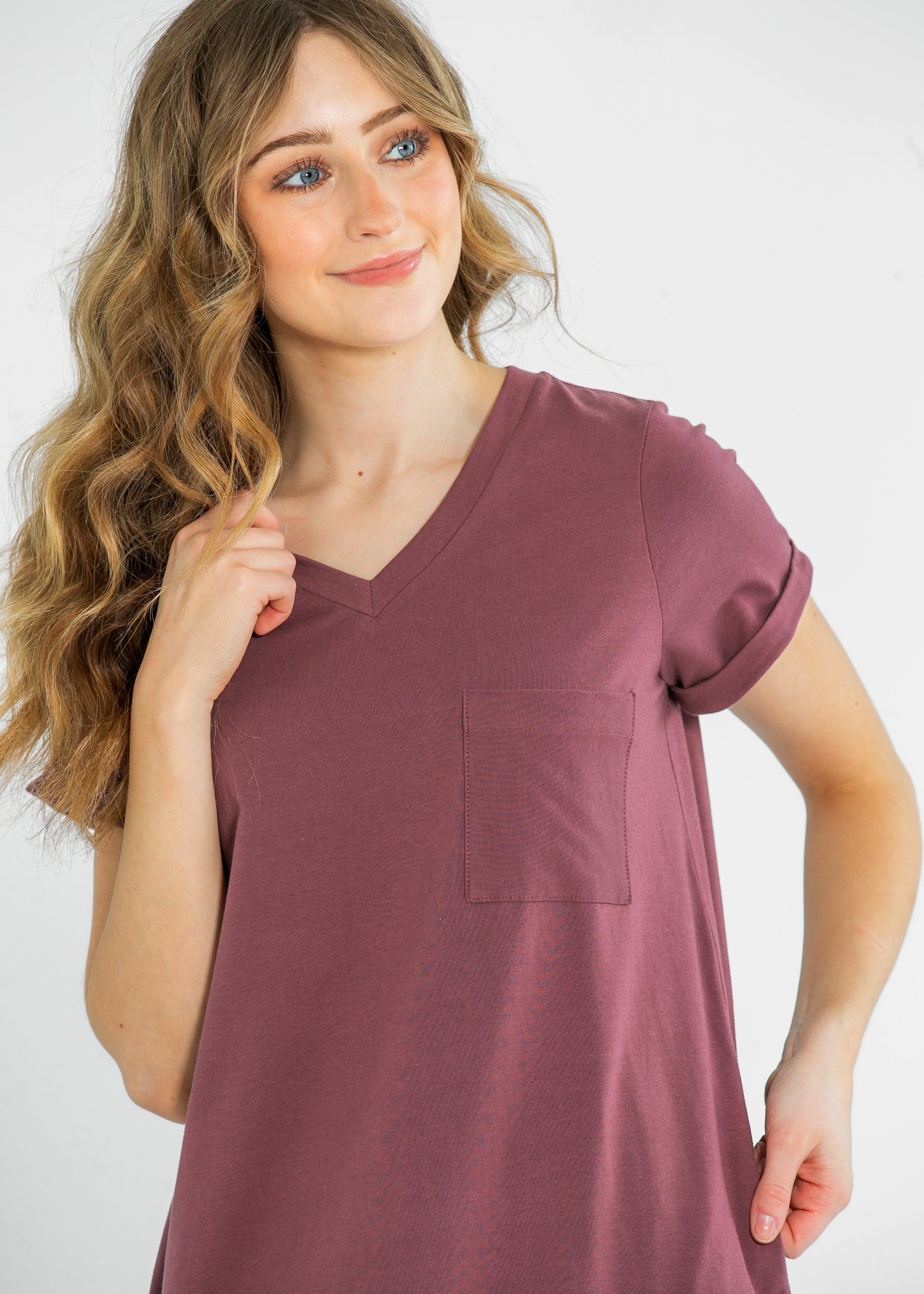 Finley V-neck T-shirt Dress Inherit Co.