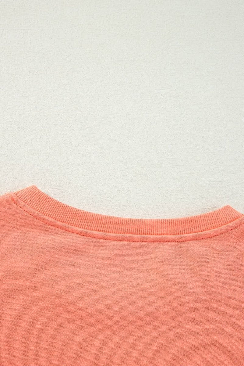 Flamingo Rainbow Striped Sleeve Crew Neck Loose Sweatshirt - Love Salve 