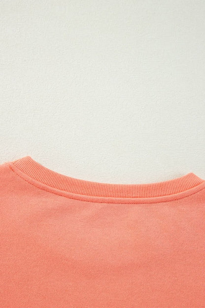 Flamingo Rainbow Striped Sleeve Crew Neck Loose Sweatshirt - Love Salve 