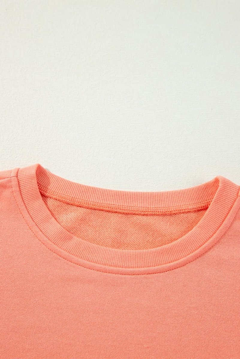 Flamingo Rainbow Striped Sleeve Crew Neck Loose Sweatshirt - Love Salve 