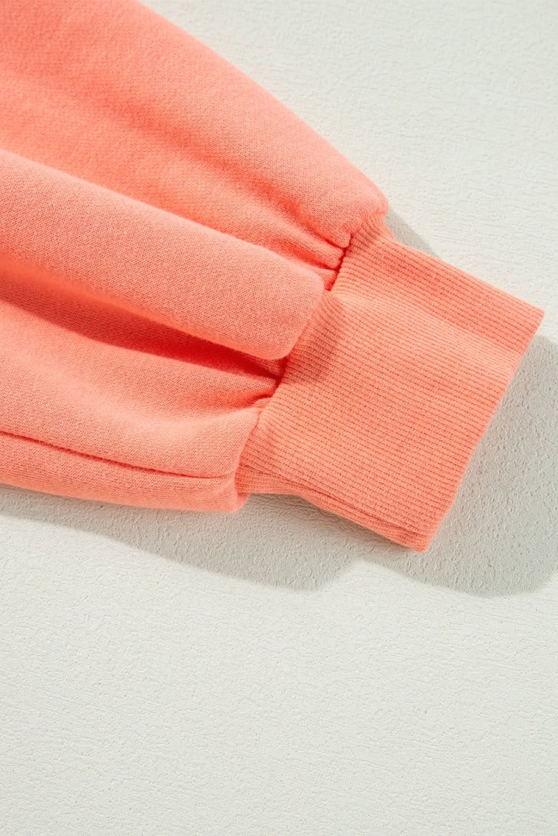 Flamingo Rainbow Striped Sleeve Crew Neck Loose Sweatshirt - Love Salve 