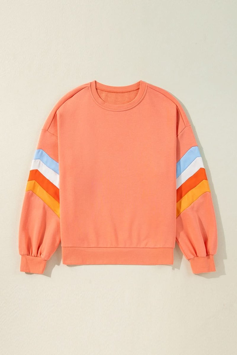 Flamingo Rainbow Striped Sleeve Crew Neck Loose Sweatshirt - Love Salve 