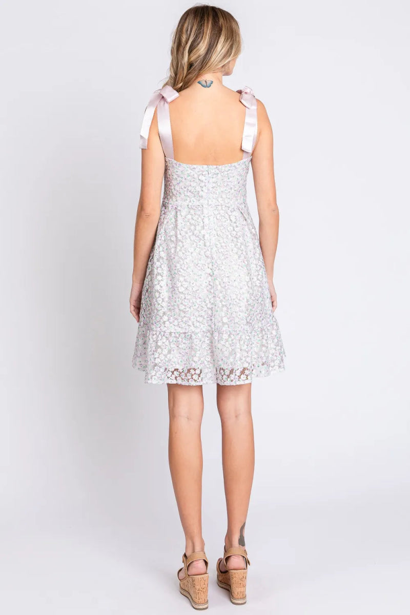 GeeGee Mesh Floral Embroidered Sleeveless Dress for Women - Love Salve