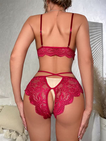 Sexy Lingerie-Sexy See-Through Panties Two-Piece Set