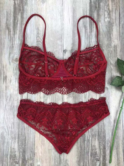 Elegant eyelash lace lingerie set