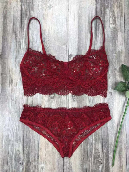 Elegant eyelash lace lingerie set